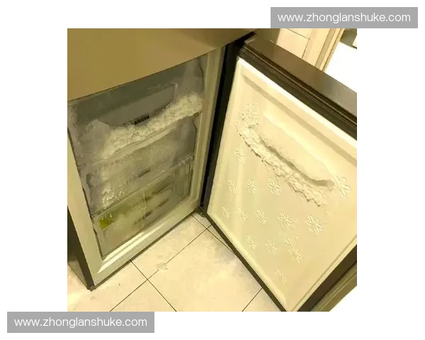 最新中超赛程表全面解析与球队对阵时间详情一站式汇总全面指南版